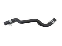 OEM Toyota Reservoir Hose - 16261-0T250