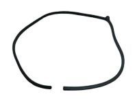 OEM Toyota 4Runner Surround Weatherstrip - 62312-35020-B0