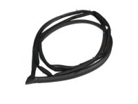 OEM 2000 Toyota Avalon Door Weatherstrip - 67871-AC020