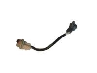 OEM 2002 Toyota Highlander Socket & Wire - 81555-48050