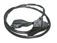 OEM 1998 Toyota Supra Door Weatherstrip - 67862-14310