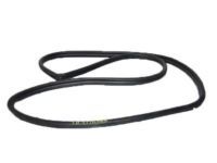 OEM 2018 Toyota RAV4 Surround Weatherstrip - 62312-0R050