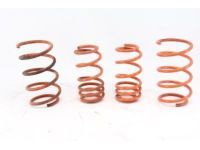 OEM 2011 Scion tC Coil Spring - 48131-21430