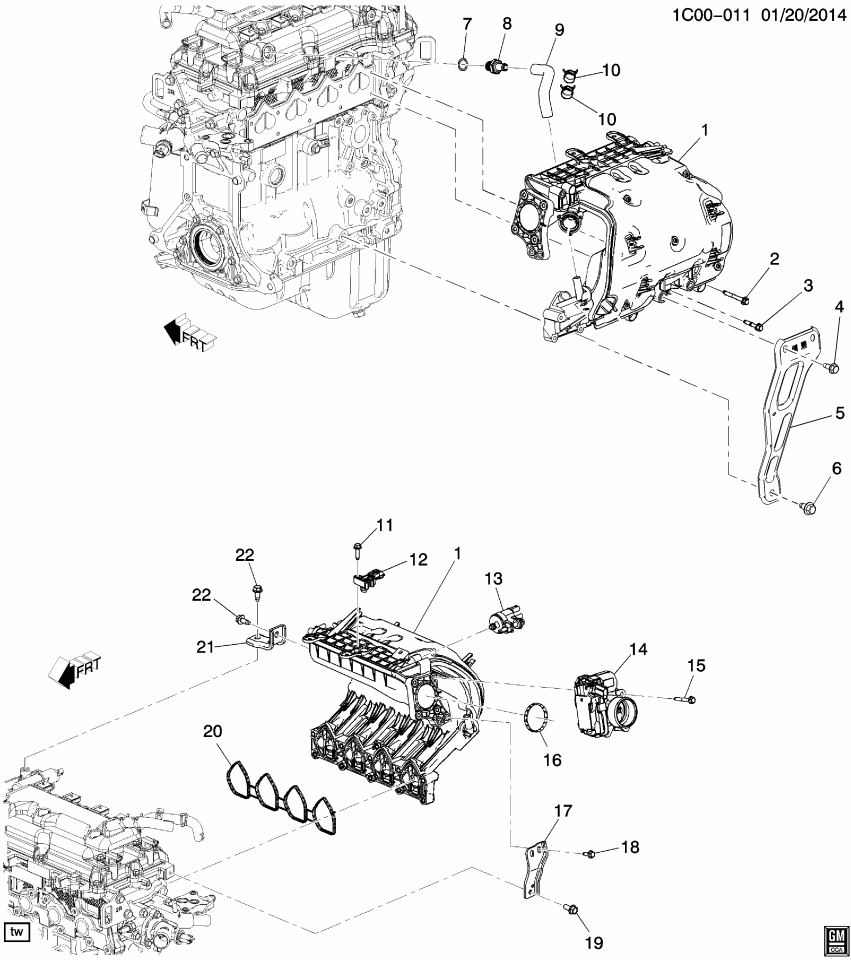 GM 25192136 Hose Asm-Pcv Valve