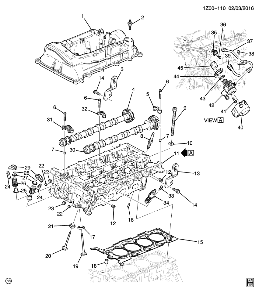 GM 55586997 Valve Springs