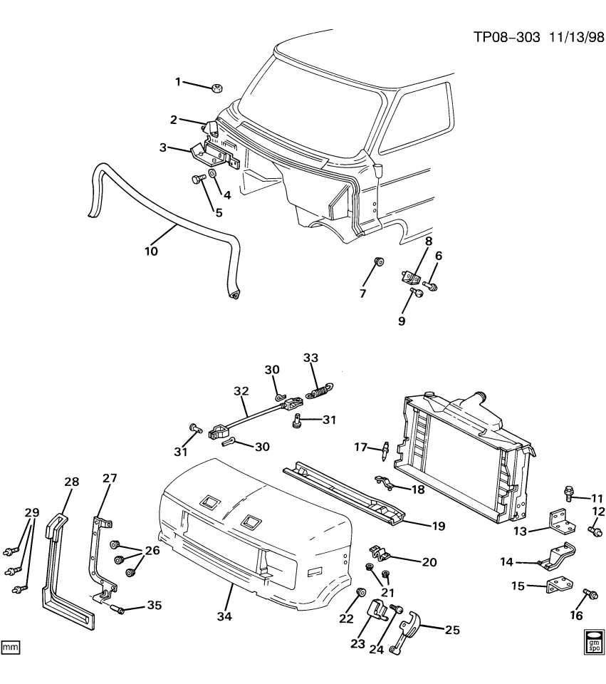 GM 15687977 PLATE, Hood