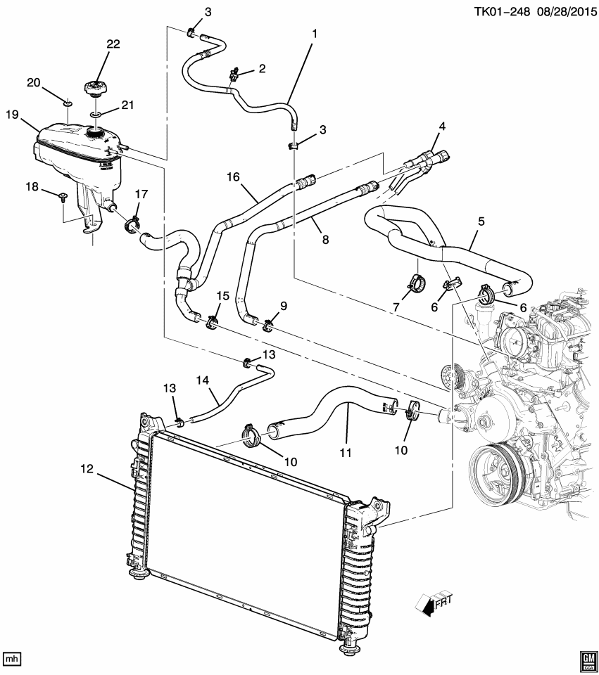 GM 23354555 Lower Hose