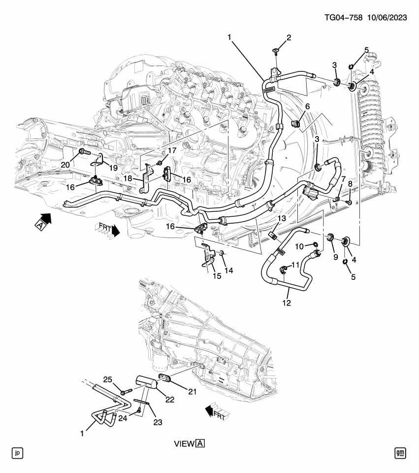 GM 11549258 Clip, Engine Oil Cooler Hose