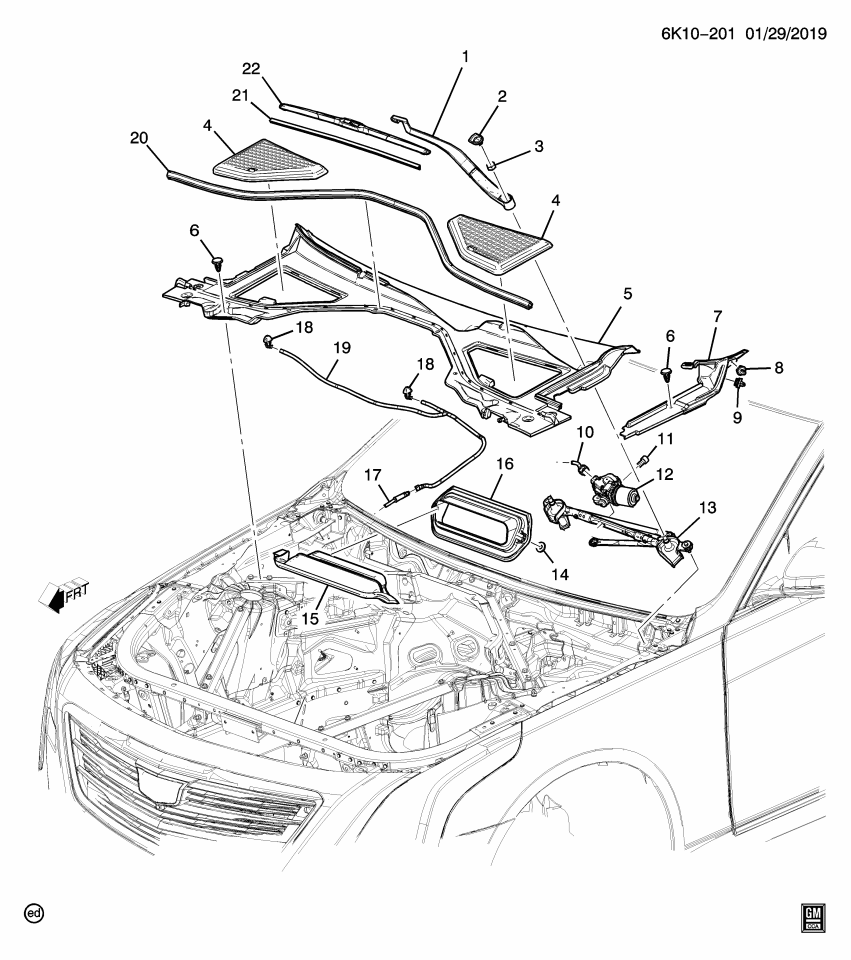 GM 23354325 Weatherstrip Asm-Hood Rear