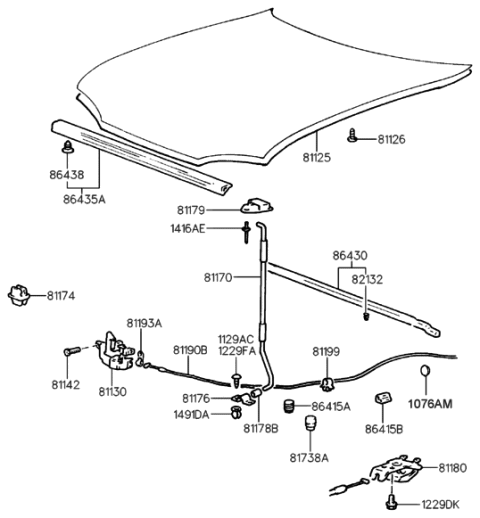 2013 Hyundai Equus  Weatherstrip-Hood Diagram for 8643034000