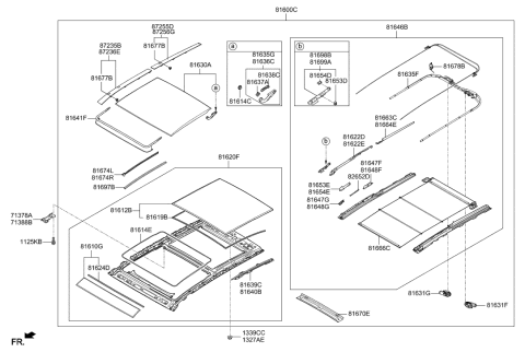 2019 Hyundai Kona  Rail Assembly-PANORAMAROOF MECHANI Diagram for 816462W000OM