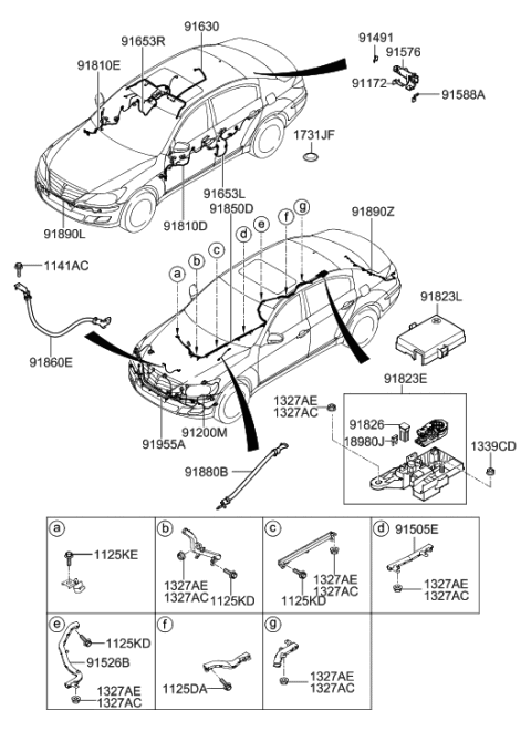 2006 Hyundai Veracruz  Wiring Assembly-Front Door(Driver) Diagram for 916003M040