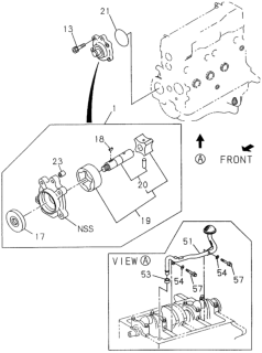 1995 Honda Passport  Oil Seal, Pump Diagram for 8943695160