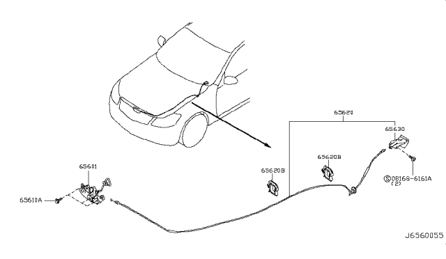 2009 Infiniti M45  Hood Lock Male Assembly Diagram for 65601EH100