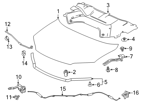 2022 Honda Ridgeline Hood & Components STAY, HOOD OPEN Diagram for 74145-T6Z-A00