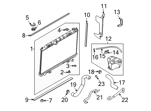 2008 Nissan Quest Radiator & Components Hose-Radiator, Lower Diagram for 21503-8J110