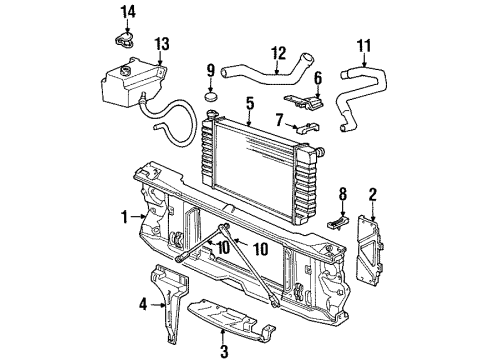 1990 GMC C1500 Radiator & Components, Radiator Support Radiator Outlet Hose (Lower) Diagram for 15954621