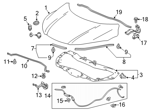 2021 Honda HR-V Hood & Components Wire Assembly, Hood Diagram for 74130-T7W-A01