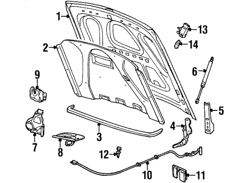 1999 Lincoln Town Car Bulbs Safety Catch Diagram for F8VZ-16892-AA