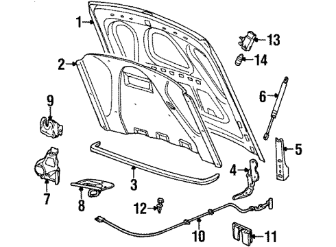 1999 Lincoln Town Car Bulbs Lift Cylinder Diagram for F8VZ-16C826-BA