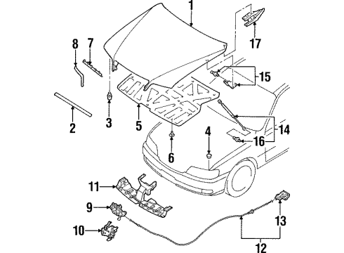 1998 Infiniti Q45 Hood & Components Hood Lock Male Assembly Diagram for 65601-6P100