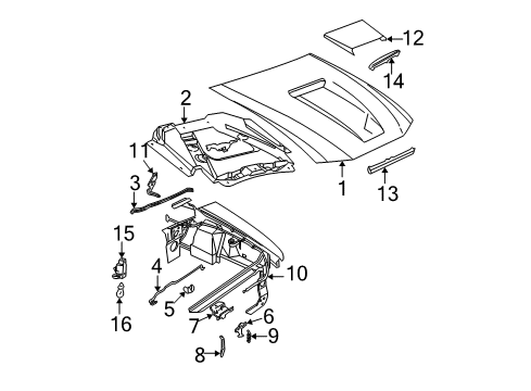 2001 Ford Mustang Hood & Components Hood Diagram for 1R3Z-16612-AA