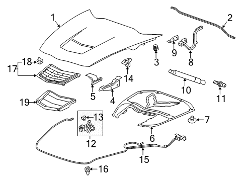 2018 Chevrolet Corvette Hood & Components Striker Asm-Hood Primary Latch Diagram for 23491557