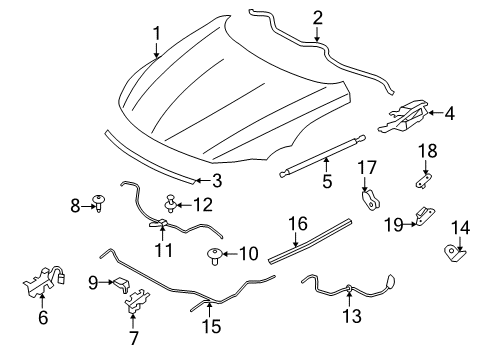 2009 BMW Z4 Hood & Components Lateral Engine Hood Sealing Diagram for 51767191515