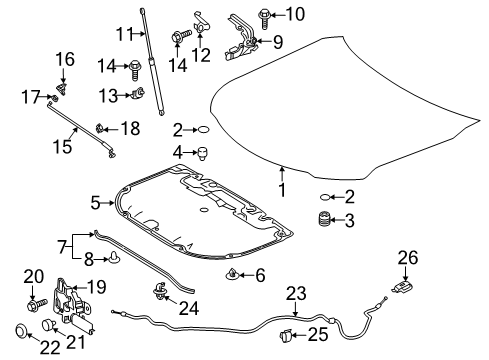 2018 Toyota Camry Hood & Components Support Cylinder Diagram for 53440-06180