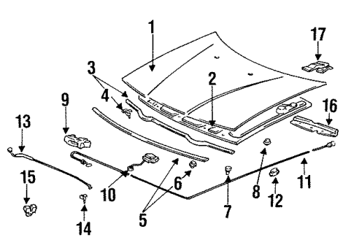 1992 Acura Vigor Hood & Components Rubber, Hood Seal Diagram for 74142-SL5-A00