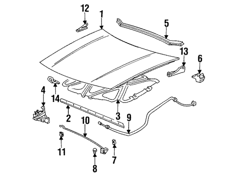 1992 Pontiac Grand Am Hood & Components Latch Asm-Hood Secondary Striker & Primary Diagram for 22644429