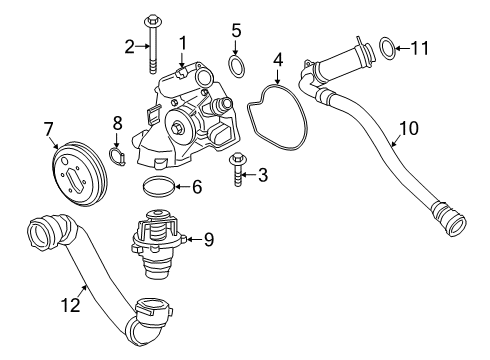 2020 BMW M2 Water Pump Water Pump Diagram for 11517846361