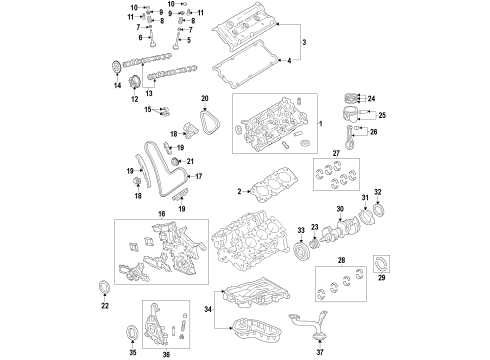 2005 Toyota Tacoma Engine Parts, Mounts, Cylinder Head & Valves, Camshaft & Timing, Variable Valve Timing, Oil Pan, Oil Pump, Balance Shafts, Crankshaft & Bearings, Pistons, Rings & Bearings Lower Oil Pan Diagram for 12102-31020