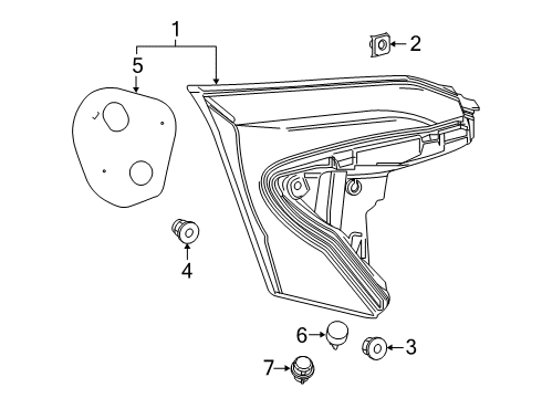 2020 Toyota C-HR Bulbs Back Up Lamp Diagram for 81581-10011