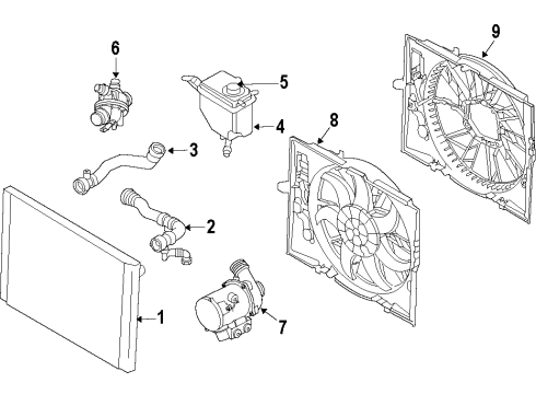 2008 BMW 528xi Cooling System, Radiator, Water Pump, Cooling Fan Lower Radiator Hose Diagram for 17127565780