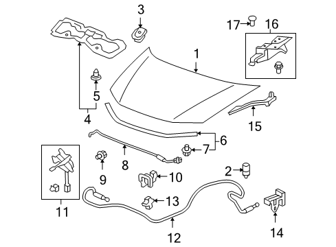 2012 Honda Insight Hood & Components Wire Assembly, Hood Diagram for 74130-TM8-A01