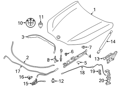 2020 BMW M850i xDrive Gran Coupe Hood & Components Gasket Bonnet Side Right Diagram for 51767349602