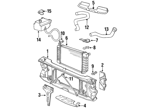 1993 GMC C2500 Radiator & Components, Radiator Support Radiator Outlet Hose (Lower) Diagram for 15659612