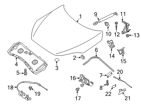 2019 Infiniti QX50 Hood & Components Hood Lock Male Assembly Diagram for 65601-5NA0A