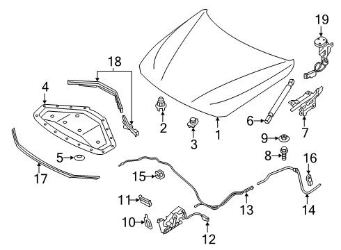 2018 BMW 330i GT xDrive Hood & Components Isa Screw Diagram for 07129905867