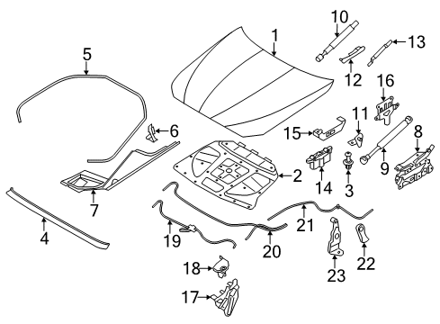 2016 BMW 535d Hood & Components Left Hood Safety Catch Latch Lock Diagram for 51237183763