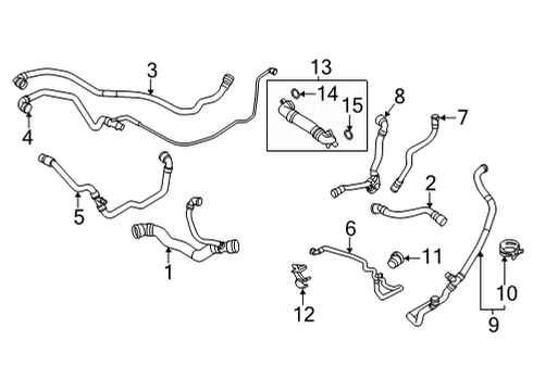 2022 BMW X6 Radiator & Components LINE FROM RADIATOR Diagram for 17129896336