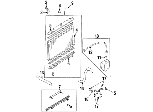 1997 Nissan Maxima Radiator & Components Mounting Rubber-Radiator, Lower Diagram for 21507-59Y00