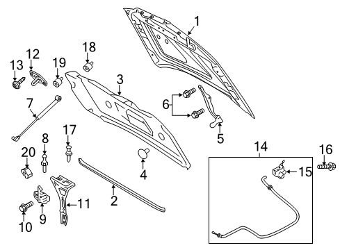 2015 Lincoln Navigator Hood & Components Hood Diagram for FL7Z-16612-A