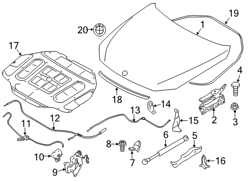 2013 BMW ActiveHybrid 7 Hood & Components Gas-Filled Strut, Bonnet, Active Diagram for 51237289752