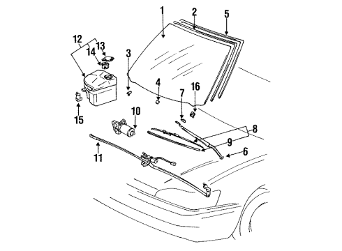 1996 Lexus ES300 Windshield Glass, Wiper & Washer Components Windshield Wiper Arm Assembly, Left Diagram for 85221-33040