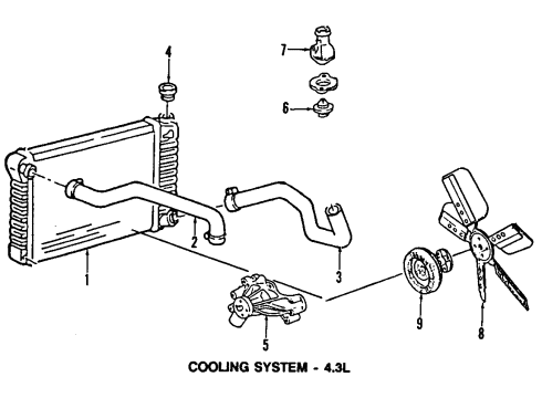 1990 GMC G1500 Cooling System, Radiator, Water Pump, Cooling Fan Radiator Outlet Hose Diagram for 15563424