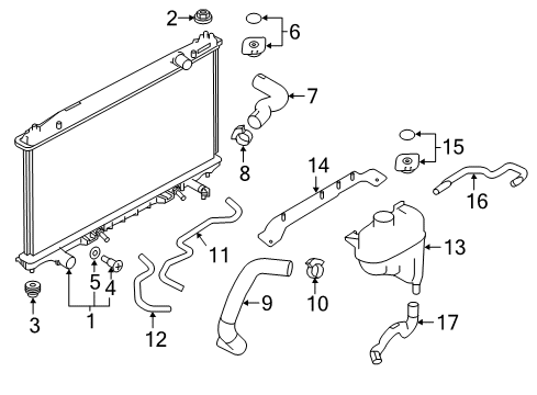 2021 INFINITI Q60 Powertrain Control Hose-Radiator, Lower Diagram for 21503-5CA1B