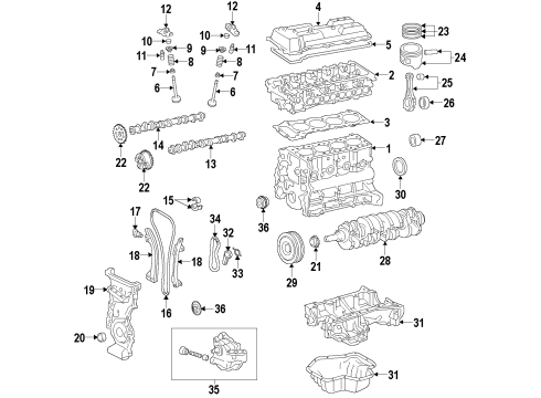 2015 Toyota Corolla Engine Parts, Mounts, Cylinder Head & Valves, Camshaft & Timing, Oil Pan, Oil Pump, Crankshaft & Bearings, Pistons, Rings & Bearings, Variable Valve Timing Chain Guide Diagram for 13561-0T090