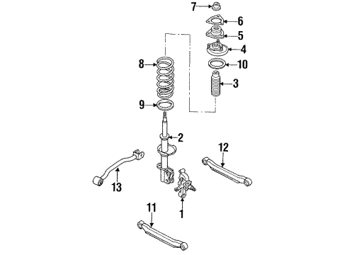 1992 Nissan Sentra Rear Suspension Components, Stabilizer Bar Coil Spring Diagram for 55020-51Y04